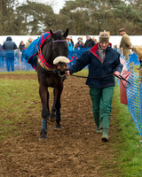 Race 4 - Open Maiden (10 of 110).jpg