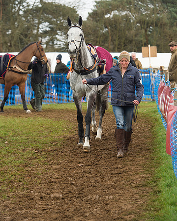 Race 4 - Open Maiden (11 of 110).jpg
