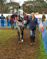 Race 4 - Open Maiden (12 of 110).jpg
