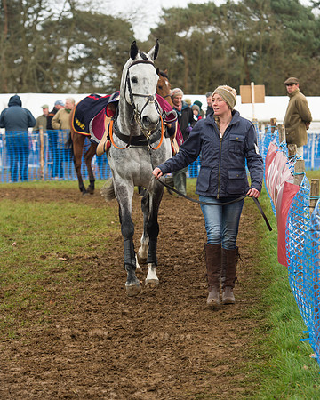 Race 4 - Open Maiden (12 of 110).jpg