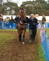 Race 4 - Open Maiden (13 of 110).jpg
