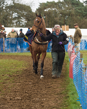 Race 4 - Open Maiden (13 of 110).jpg