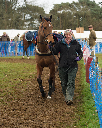 Race 4 - Open Maiden (14 of 110).jpg