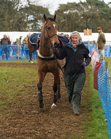 Race 4 - Open Maiden (15 of 110).jpg
