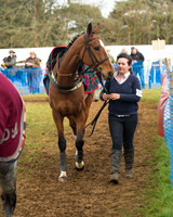 Race 4 - Open Maiden (16 of 110).jpg