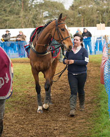 Race 4 - Open Maiden (17 of 110).jpg