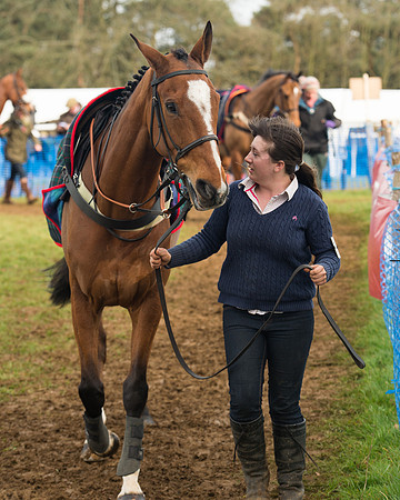 Race 4 - Open Maiden (18 of 110).jpg