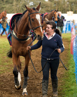 Race 4 - Open Maiden (19 of 110).jpg