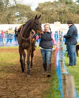 Race 4 - Open Maiden (20 of 110).jpg