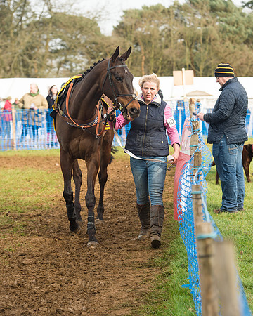 Race 4 - Open Maiden (20 of 110).jpg
