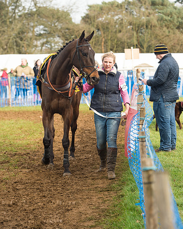 Race 4 - Open Maiden (21 of 110).jpg