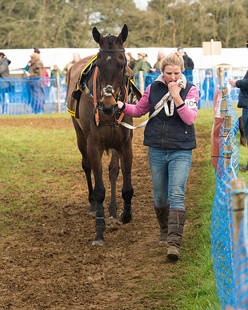 Race 4 - Open Maiden (22 of 110).jpg