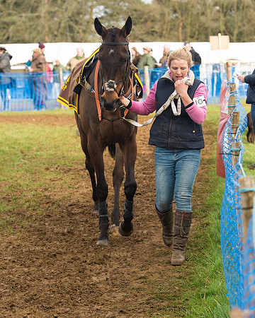 Race 4 - Open Maiden (23 of 110).jpg