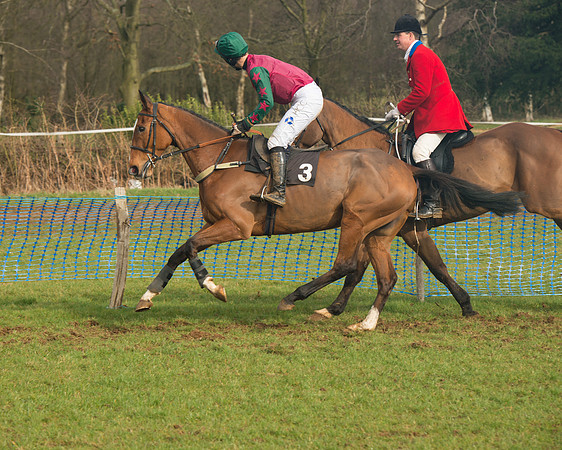 Race 4 - Open Maiden (27 of 110).jpg