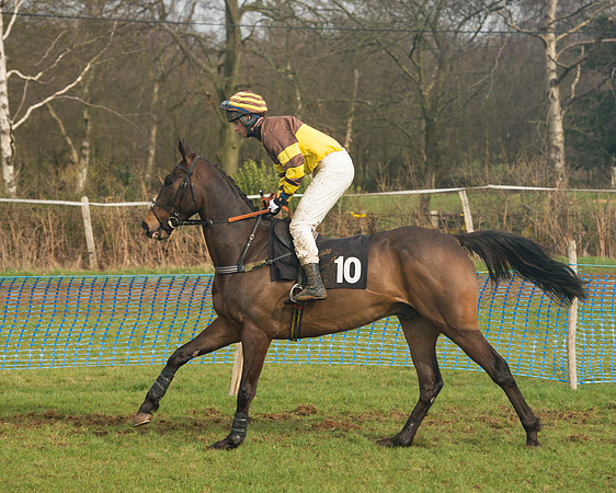 Race 4 - Open Maiden (31 of 110).jpg