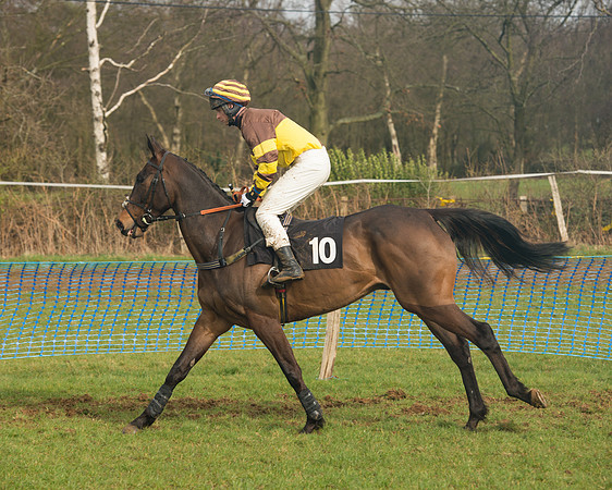 Race 4 - Open Maiden (32 of 110).jpg