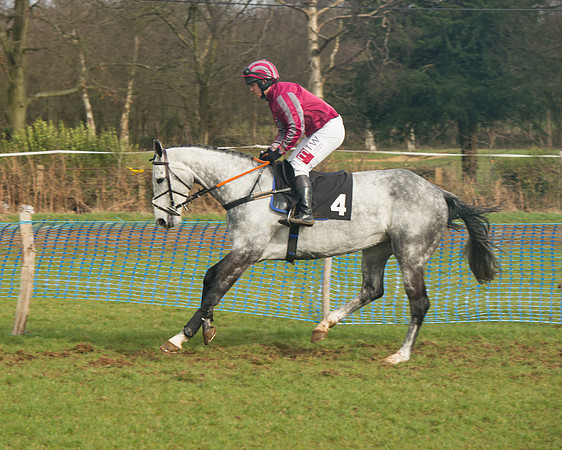 Race 4 - Open Maiden (33 of 110).jpg