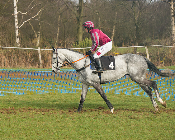 Race 4 - Open Maiden (35 of 110).jpg