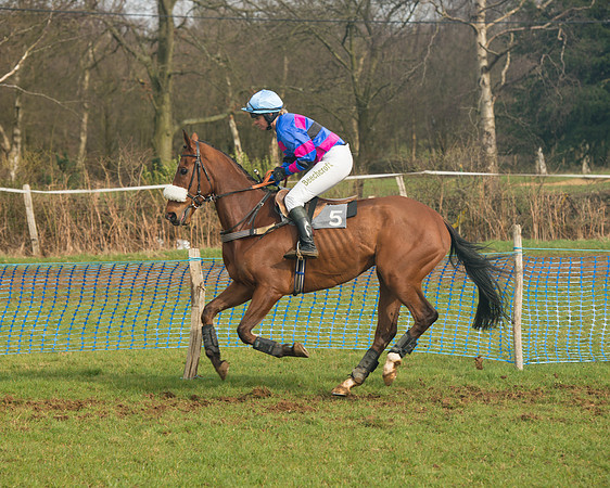 Race 4 - Open Maiden (39 of 110).jpg