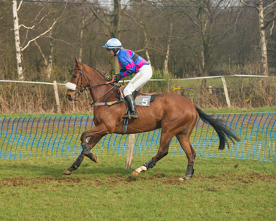 Race 4 - Open Maiden (40 of 110).jpg