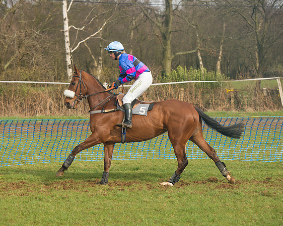 Race 4 - Open Maiden (41 of 110).jpg