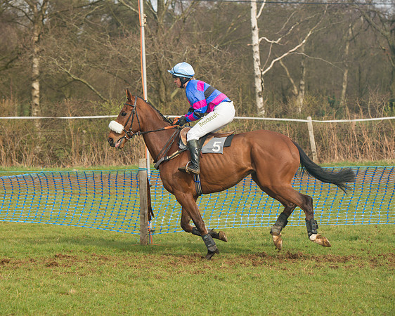 Race 4 - Open Maiden (43 of 110).jpg