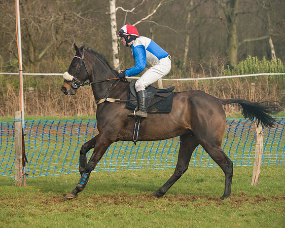 Race 4 - Open Maiden (44 of 110).jpg