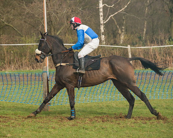 Race 4 - Open Maiden (45 of 110).jpg