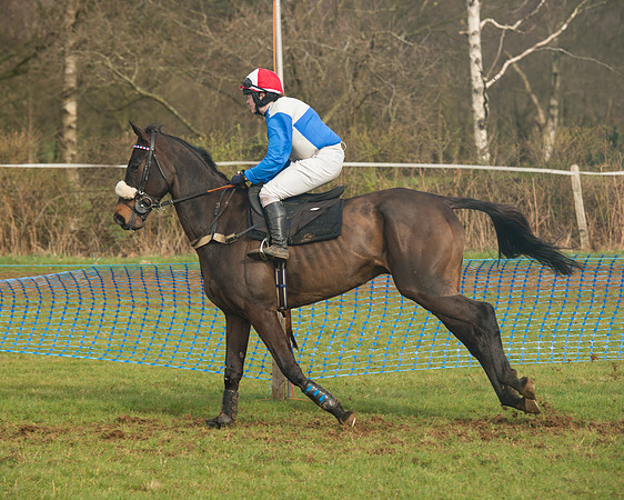 Race 4 - Open Maiden (46 of 110).jpg