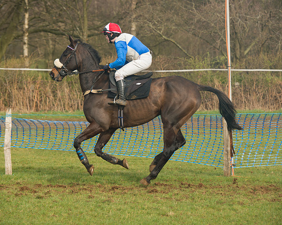 Race 4 - Open Maiden (47 of 110).jpg
