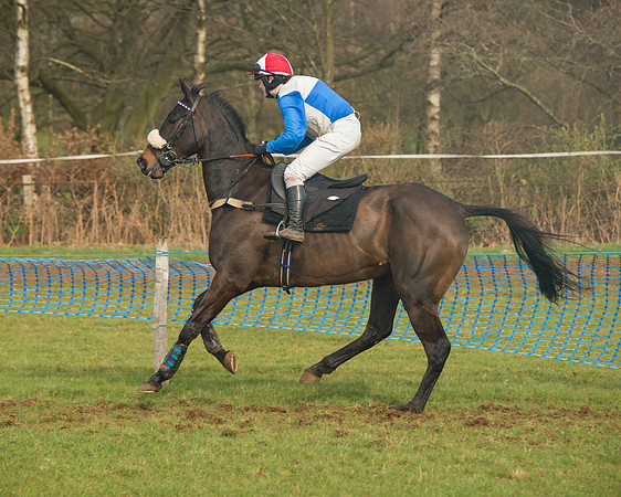 Race 4 - Open Maiden (48 of 110).jpg