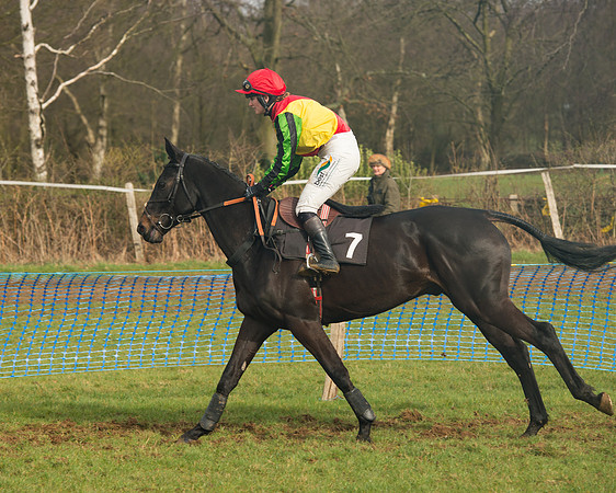 Race 4 - Open Maiden (51 of 110).jpg