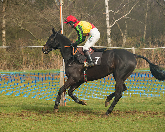 Race 4 - Open Maiden (52 of 110).jpg