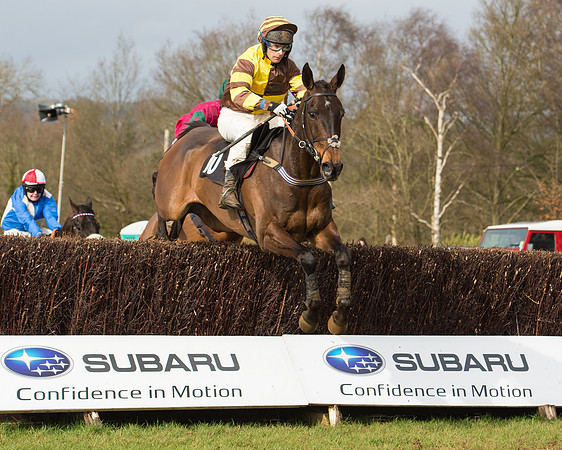 Race 4 - Open Maiden (55 of 110).jpg