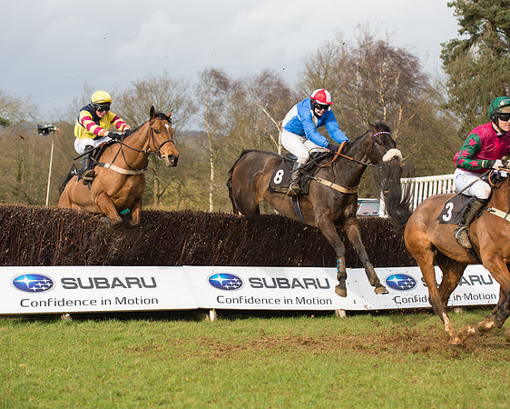Race 4 - Open Maiden (60 of 110).jpg