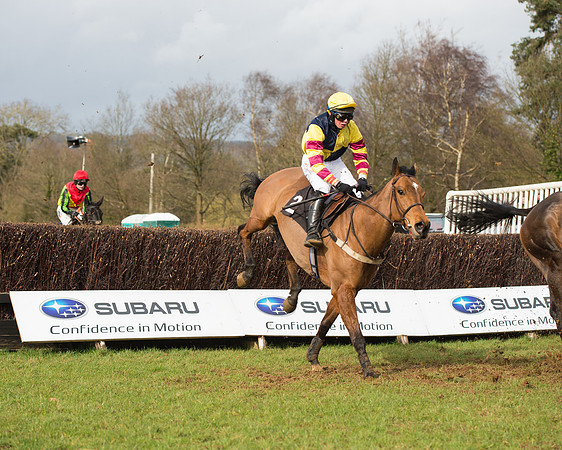 Race 4 - Open Maiden (63 of 110).jpg