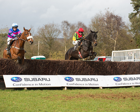 Race 4 - Open Maiden (64 of 110).jpg