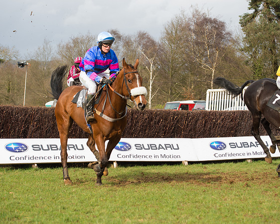 Race 4 - Open Maiden (68 of 110).jpg