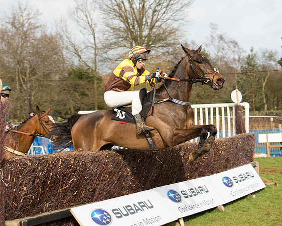 Race 4 - Open Maiden (75 of 110).jpg