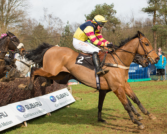 Race 4 - Open Maiden (82 of 110).jpg