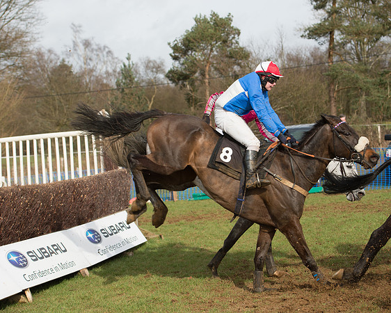 Race 4 - Open Maiden (84 of 110).jpg