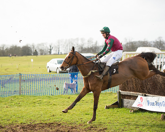 Race 4 - Open Maiden (101 of 110).jpg