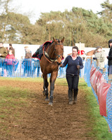 Race 5 - Subaru Restricted (9 of 80).jpg