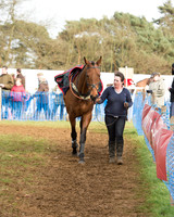 Race 5 - Subaru Restricted (10 of 80).jpg