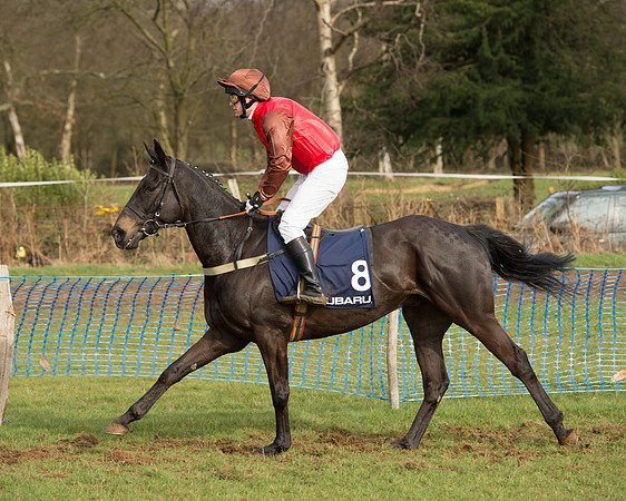 Race 5 - Subaru Restricted (35 of 80).jpg