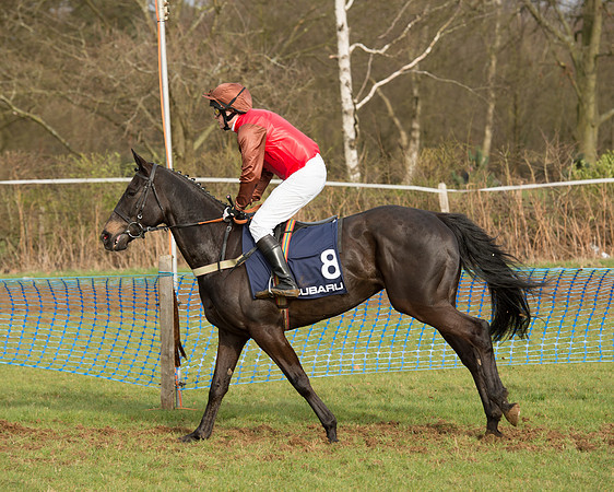 Race 5 - Subaru Restricted (37 of 80).jpg