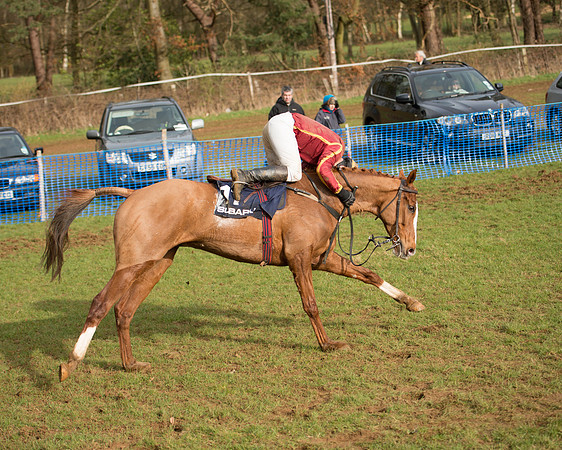 Race 5 - Subaru Restricted (68 of 80).jpg