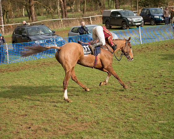 Race 5 - Subaru Restricted (70 of 80).jpg