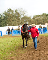 Race 6 - Novice Riders (6 of 79).jpg