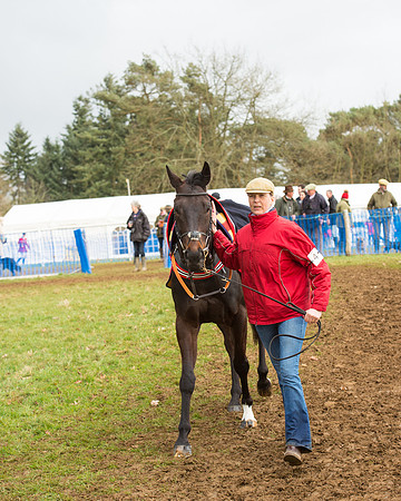 Race 6 - Novice Riders (8 of 79).jpg